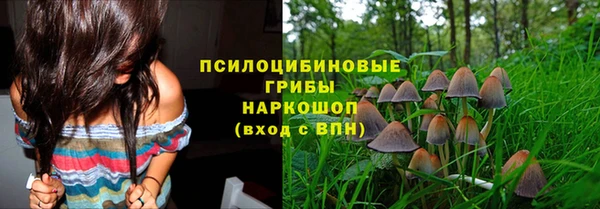 крисы Верхнеуральск